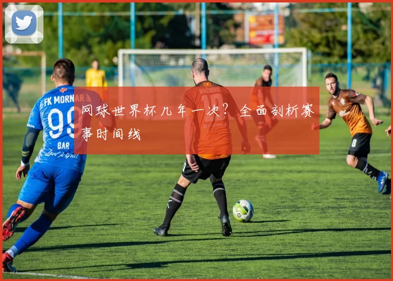 网球世界杯几年一次?全面剖析赛事时间线