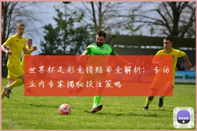 世界杯足彩竞猜赔率全解析：专访业内专家揭秘投注策略