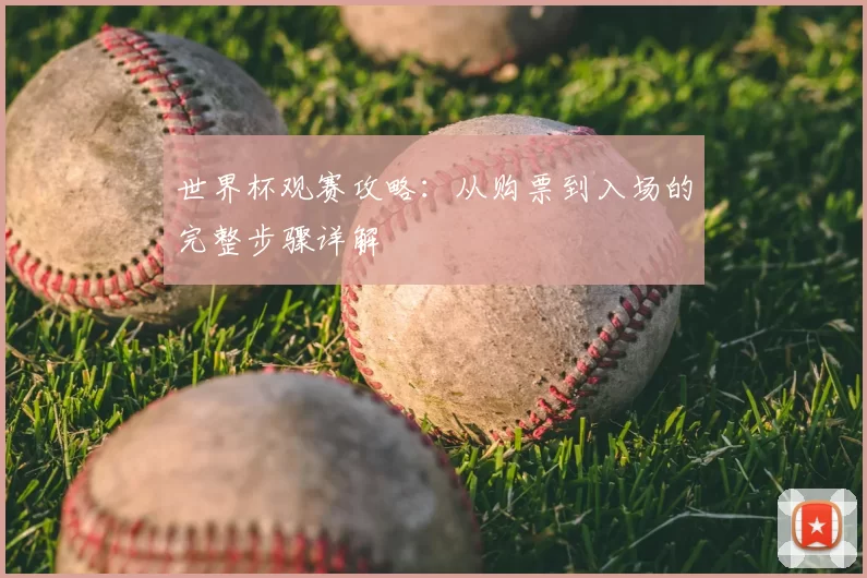 世界杯观赛攻略：从购票到入场的完整步骤详解