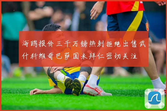 海鸥报价三千万镑热刺拒绝出售武什科维奇巴萨国米拜仁密切关注