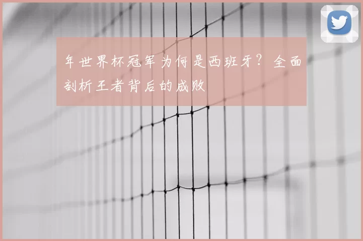 年世界杯冠军为何是西班牙?全面剖析王者背后的成败