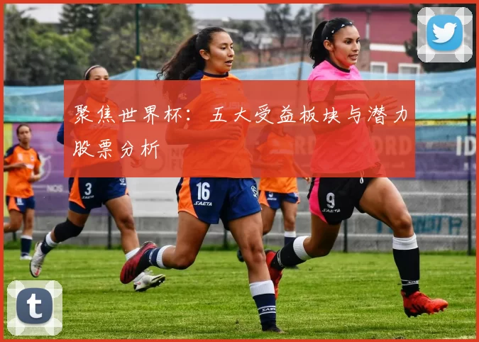 聚焦世界杯:五大受益板块与潜力股票分析