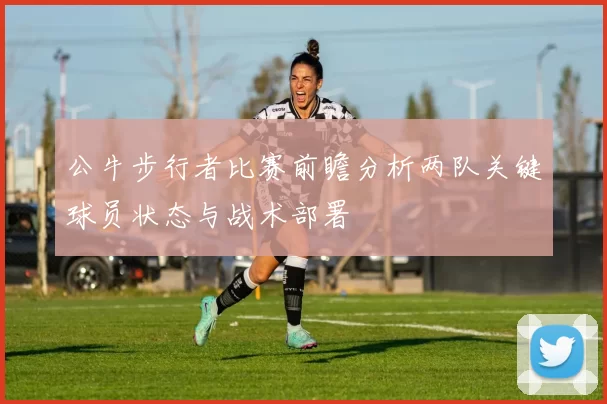 公牛步行者比赛前瞻分析两队关键球员状态与战术部署