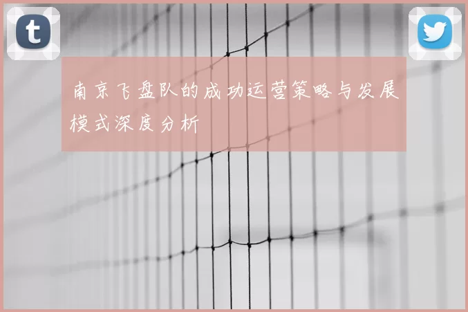 南京飞盘队的成功运营策略与发展模式深度分析