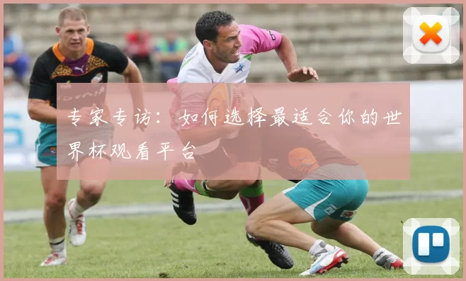 专家专访：如何选择最适合你的世界杯观看平台