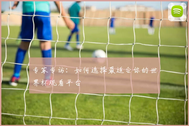 专家专访：如何选择最适合你的世界杯观看平台