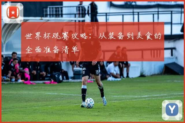 世界杯观赛攻略:从装备到美食的全面准备清单