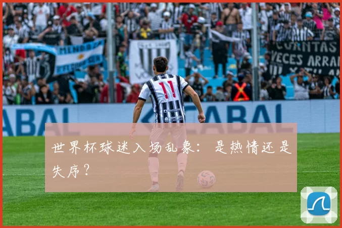 世界杯球迷入场乱象:是热情还是失序?